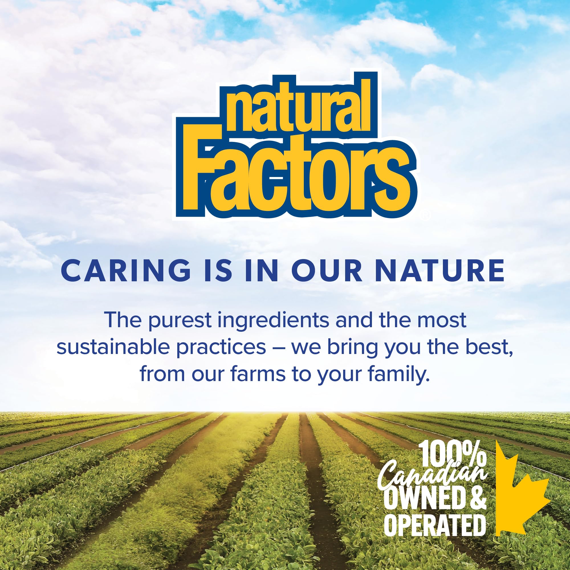 Natural Factors Vitamin A 10,000 IU 90 Softgels