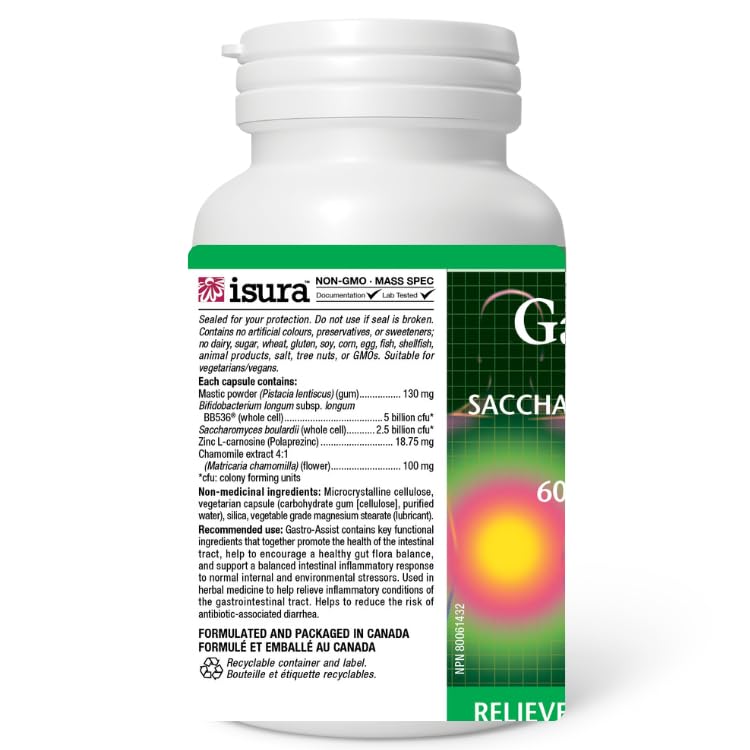 Natural Factors Gastro-Assist 60 Veg Caps, Mastic Gum, Zinc Supplements