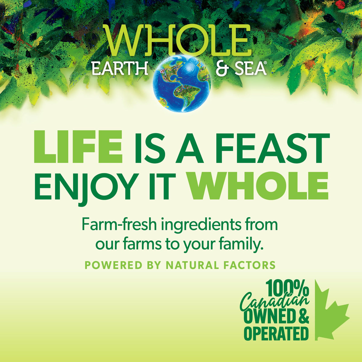 Natural Factors Whole Earth & Sea Fermented Whole Food Probiotic 60 CT