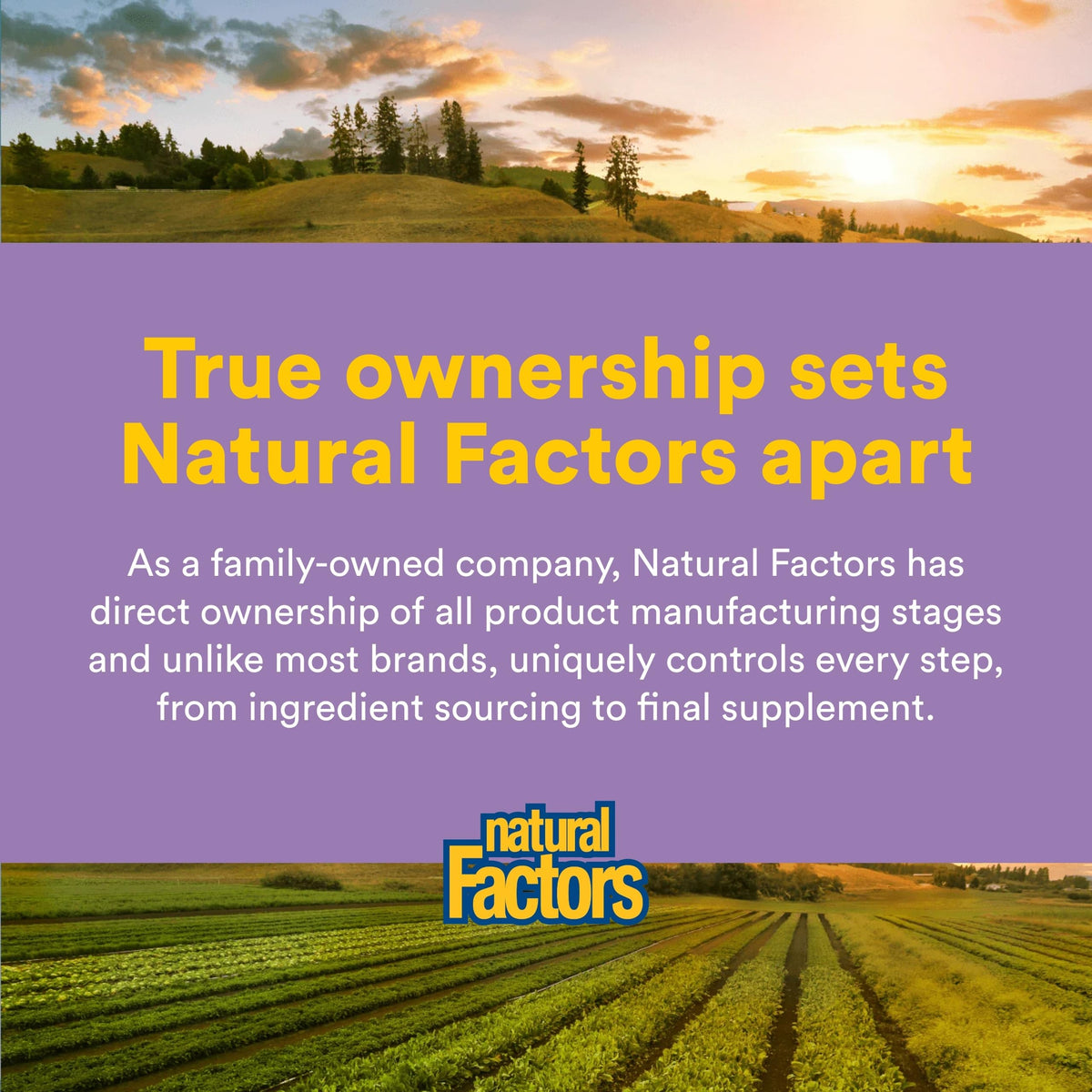Natural Factors CoQ10 100 mg, 120 Softgels, 100% Natural, Supports Cardiovascular Health, Proudly Canadian