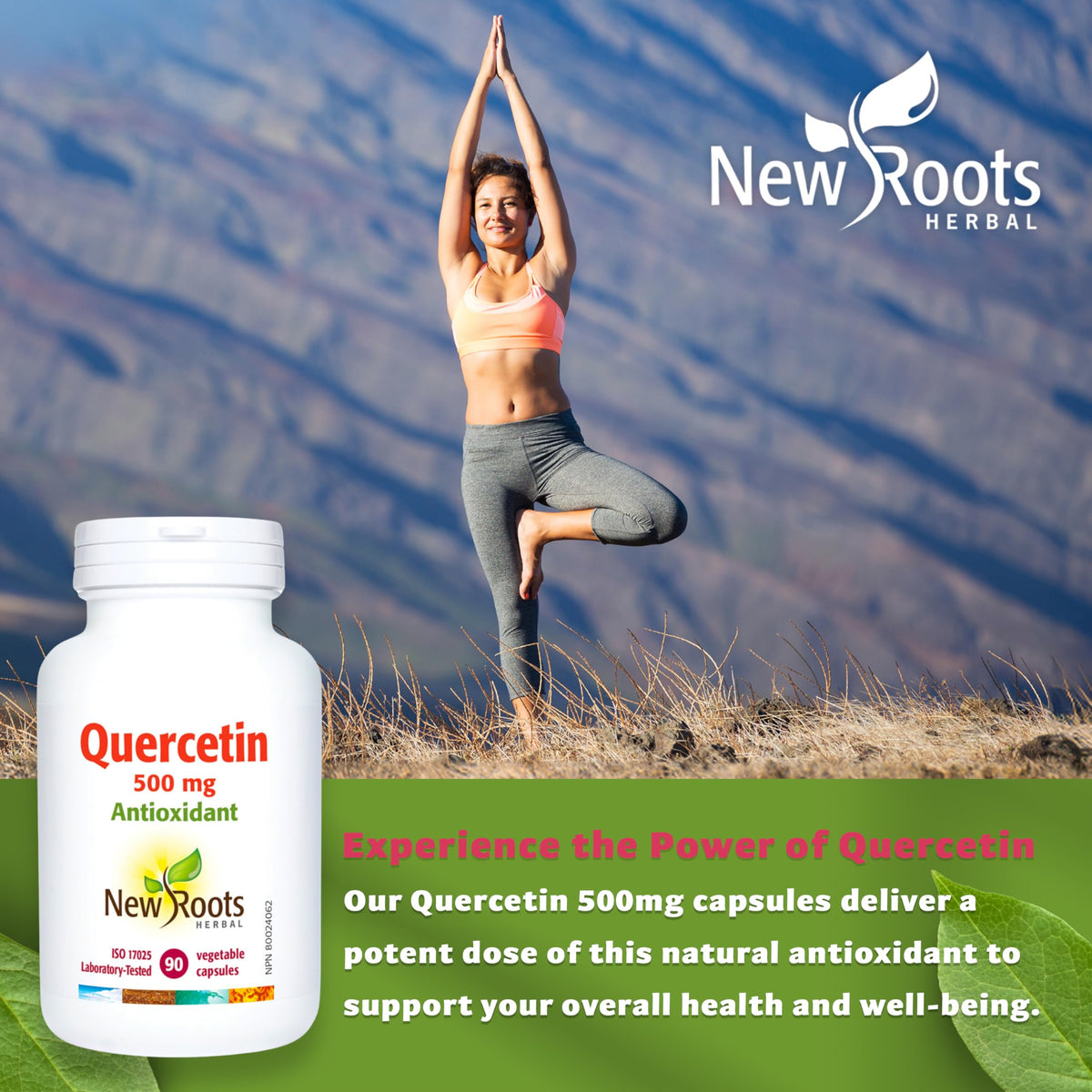 New Roots Herbal - Quercetin Capsules - Plant-Sourced Antioxidant - Maintain Optimal Health, Protects Capillaries, Blood Vessel Support & Circulation - Gluten-Free & Non-GMO