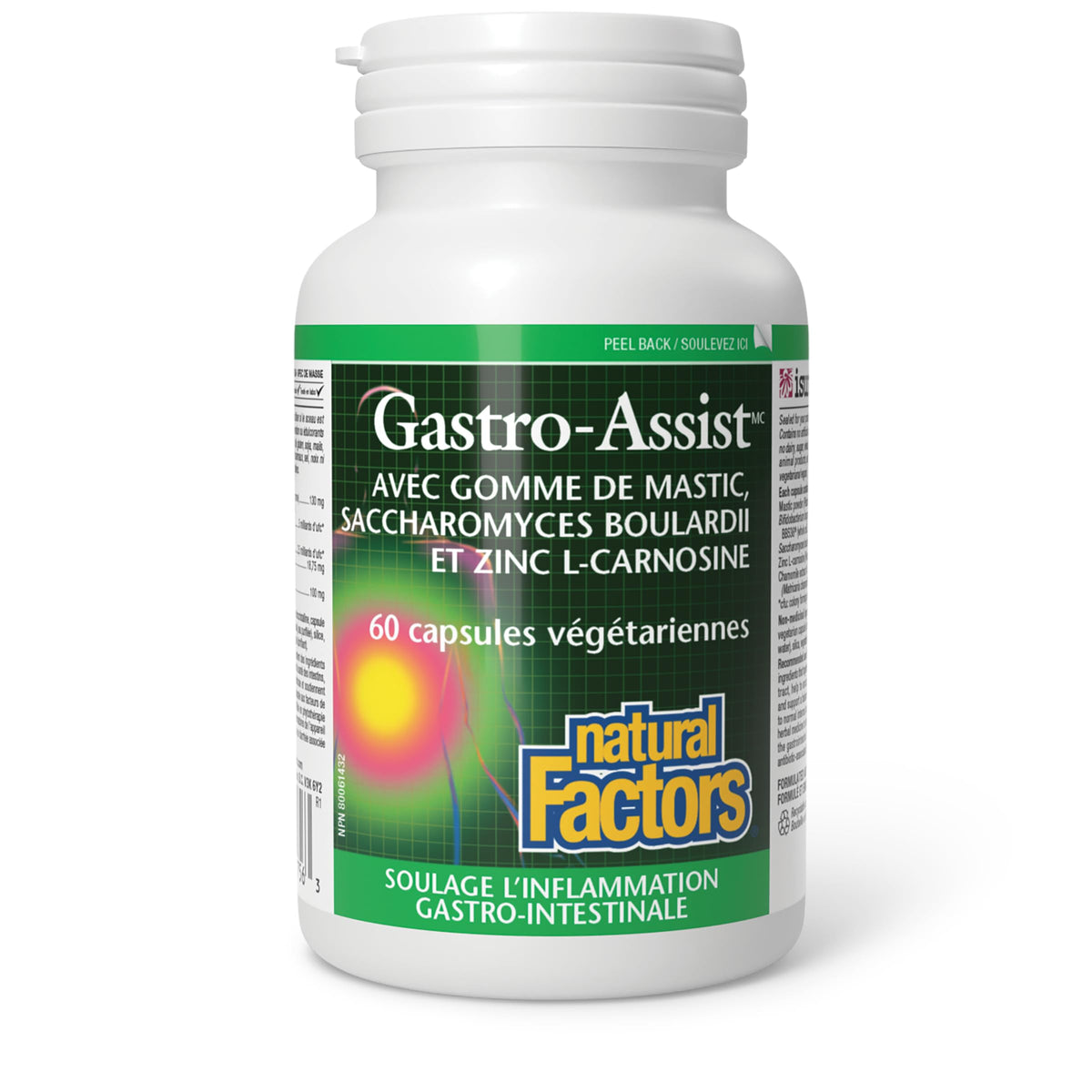 Natural Factors Gastro-Assist 60 Veg Caps, Mastic Gum, Zinc Supplements