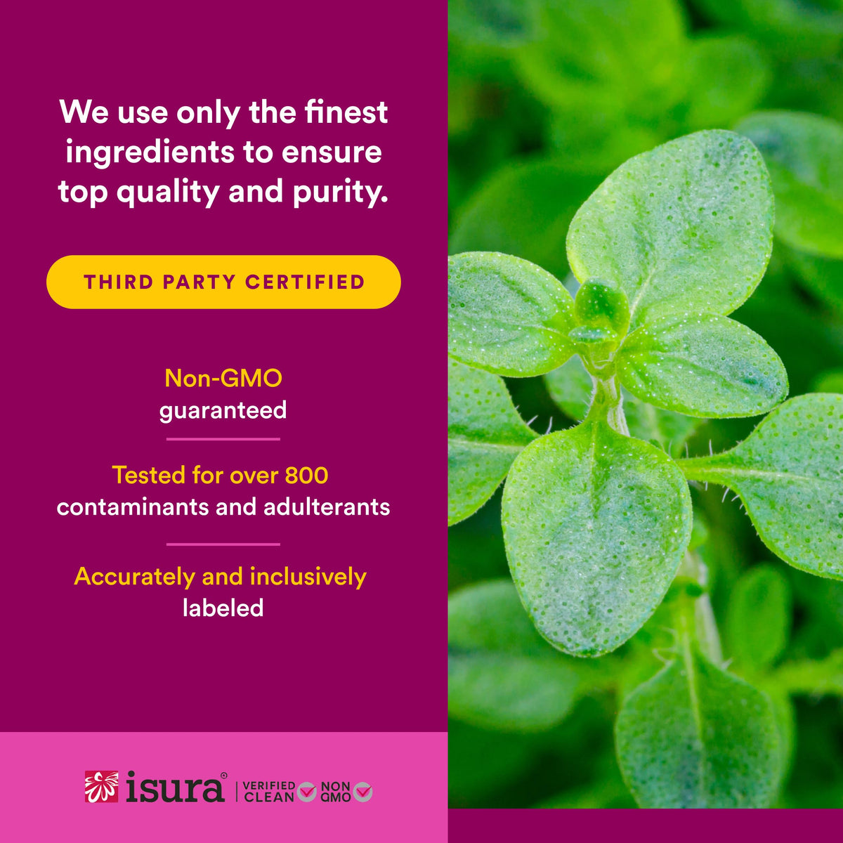 Natural Factors - Oil of Oregano 180mg, 60 Softgels