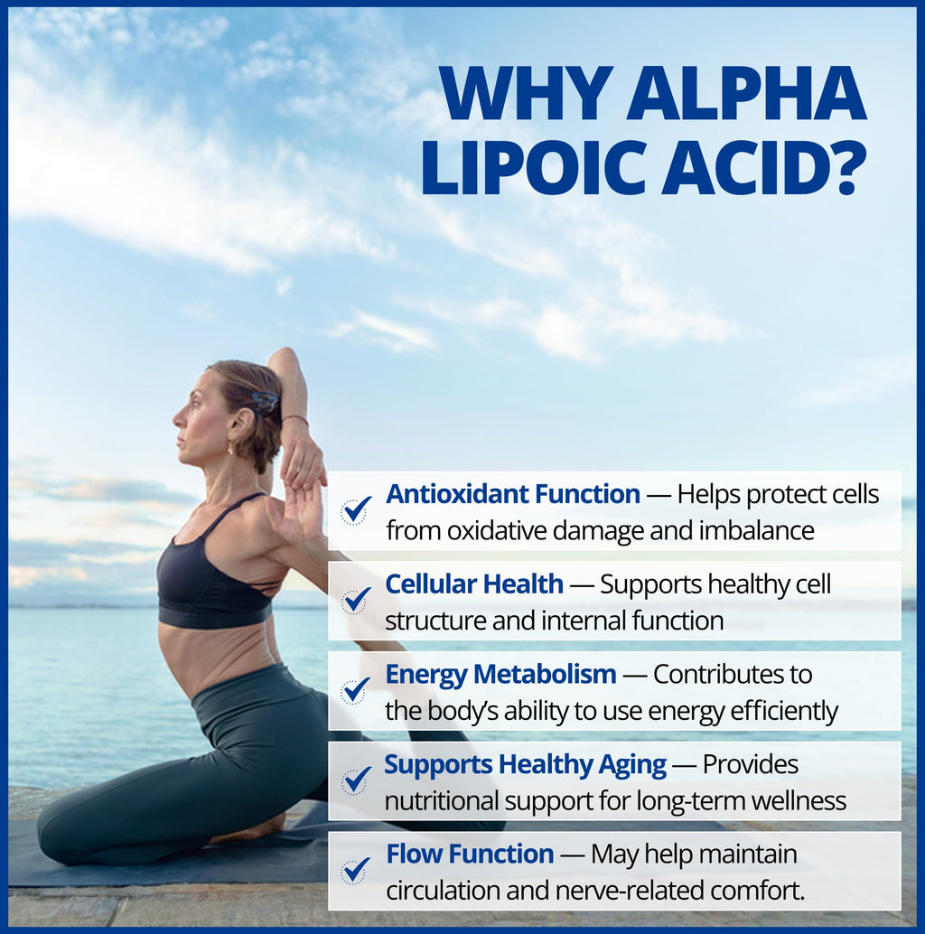 CanPrev Alpha Lipoic Acid 600mg Capsules - 60 Vegan Capsules, 60-Day Supply - Helps to Promote Healthy Glucose Metabolism with Thiamine - Provides Antioxidants for the Maintenance of Good Health
