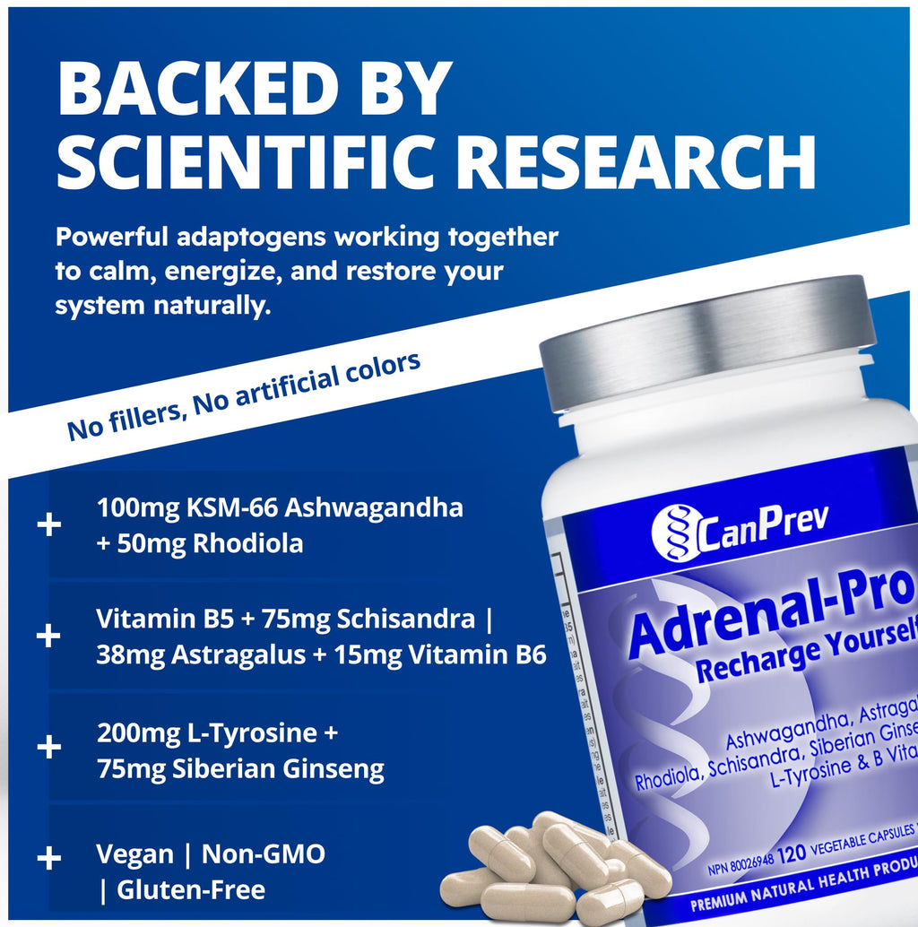 CanPrev Adrenal-Pro Recharge Yourself, 120 Vegan V-Caps with Siberian Ginseng, 30-Day Supply with Ashwagandha, Astragalus, L-Tyrosine, B5 & B6 - Supports Energy Levels, Physical and Mental Vitality