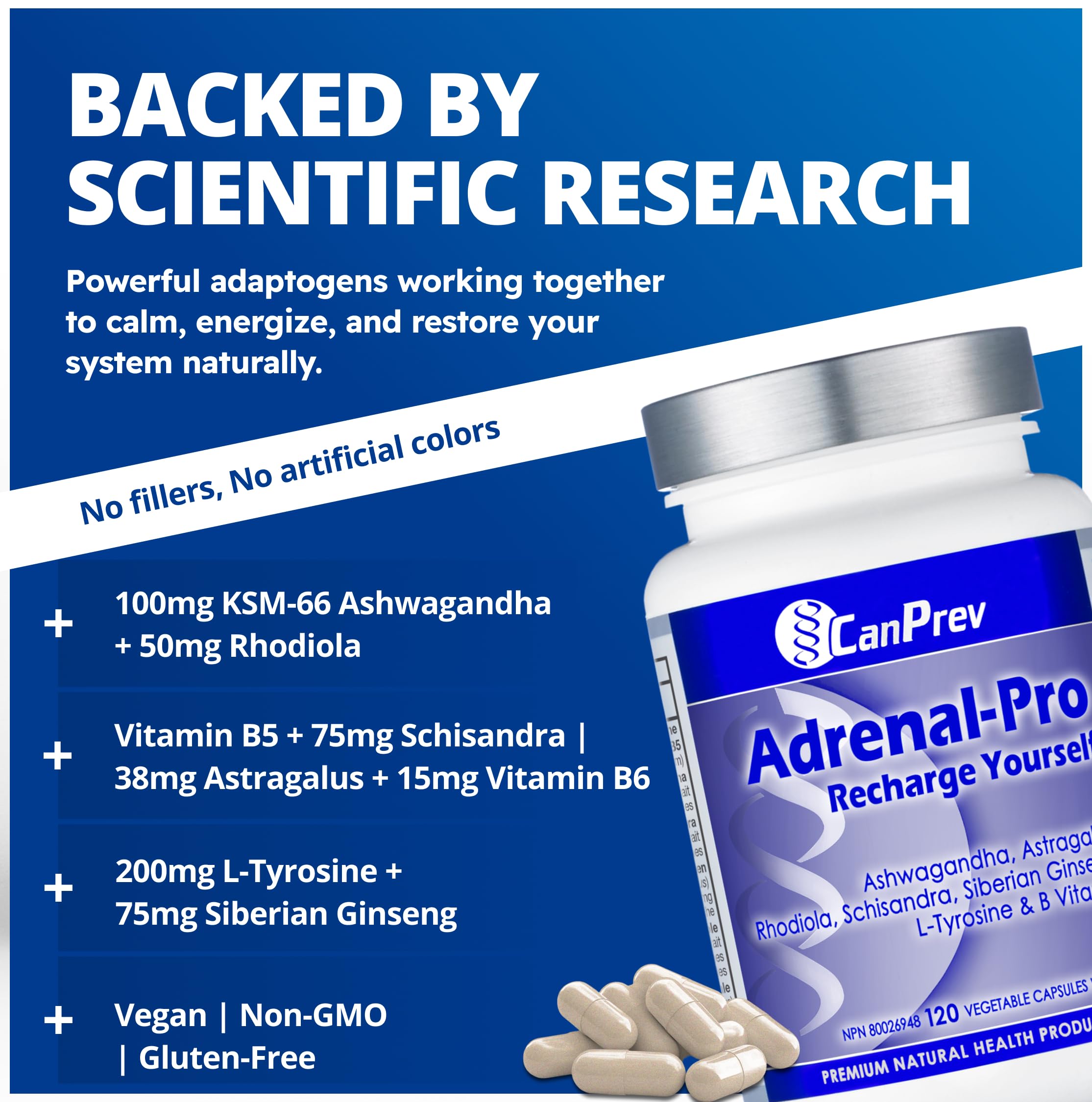 CanPrev Adrenal-Pro Recharge Yourself, 120 Vegan V-Caps with Siberian Ginseng, 30-Day Supply with Ashwagandha, Astragalus, L-Tyrosine, B5 & B6 - Supports Energy Levels, Physical and Mental Vitality