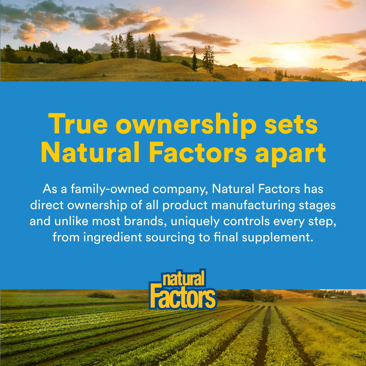 Natural Factors - Micronized L-Glutamine Powder Free Form Amino Acid - 300G g Powder - 5 g per serving.