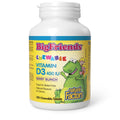 Natural Factors Big Friends Kids Vitamin D 400 IU 250 Chews Berry Bunch