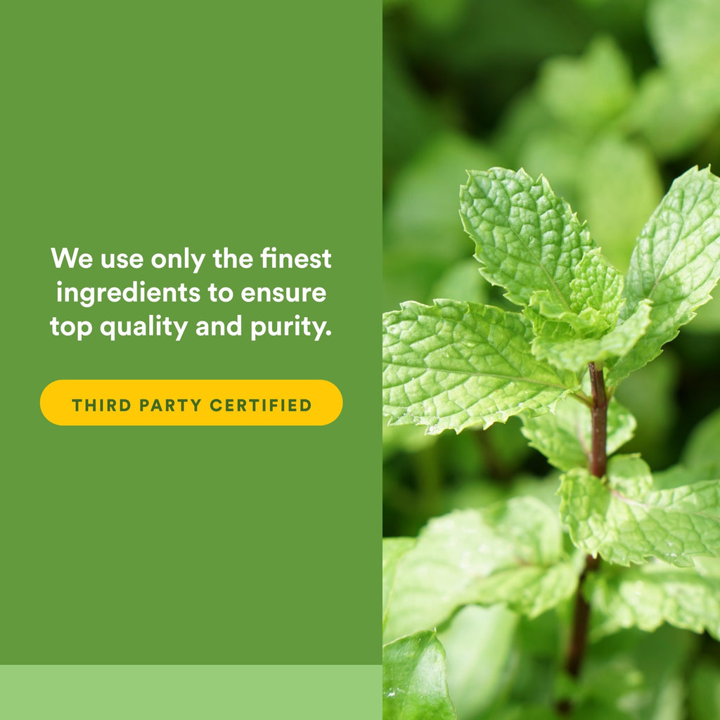 Natural Factors Peppermint Oil with Oregano and Caraway Seed Oil Enteric Coated 60 Softgels