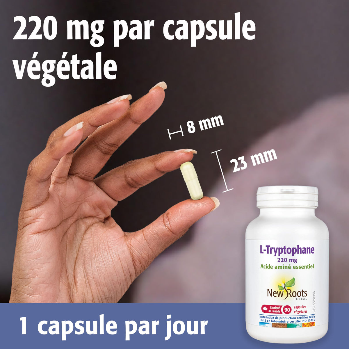 New Roots Herbal - L-Tryptophan 220mg, 90 Capsules - Source of an Essential Amino for the Maintenance of Good Health