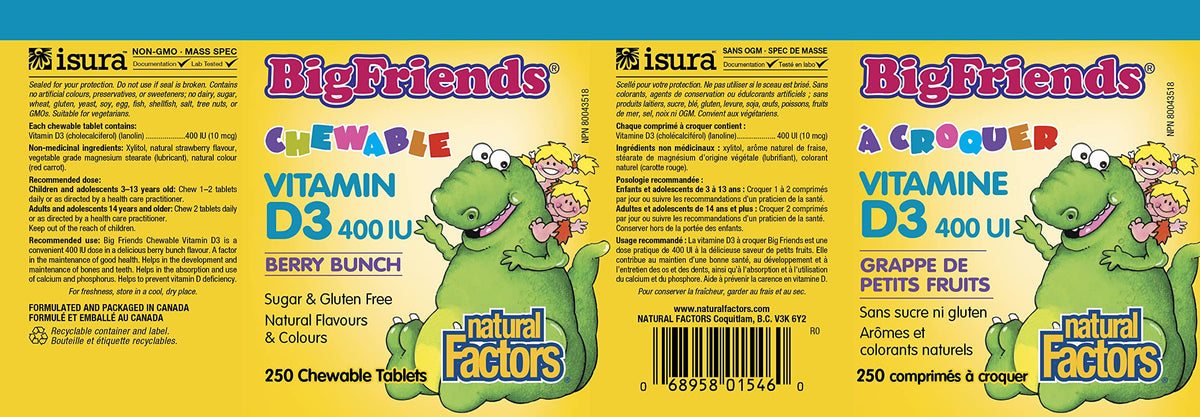 Natural Factors Big Friends Kids Vitamin D 400 IU 250 Chews Berry Bunch