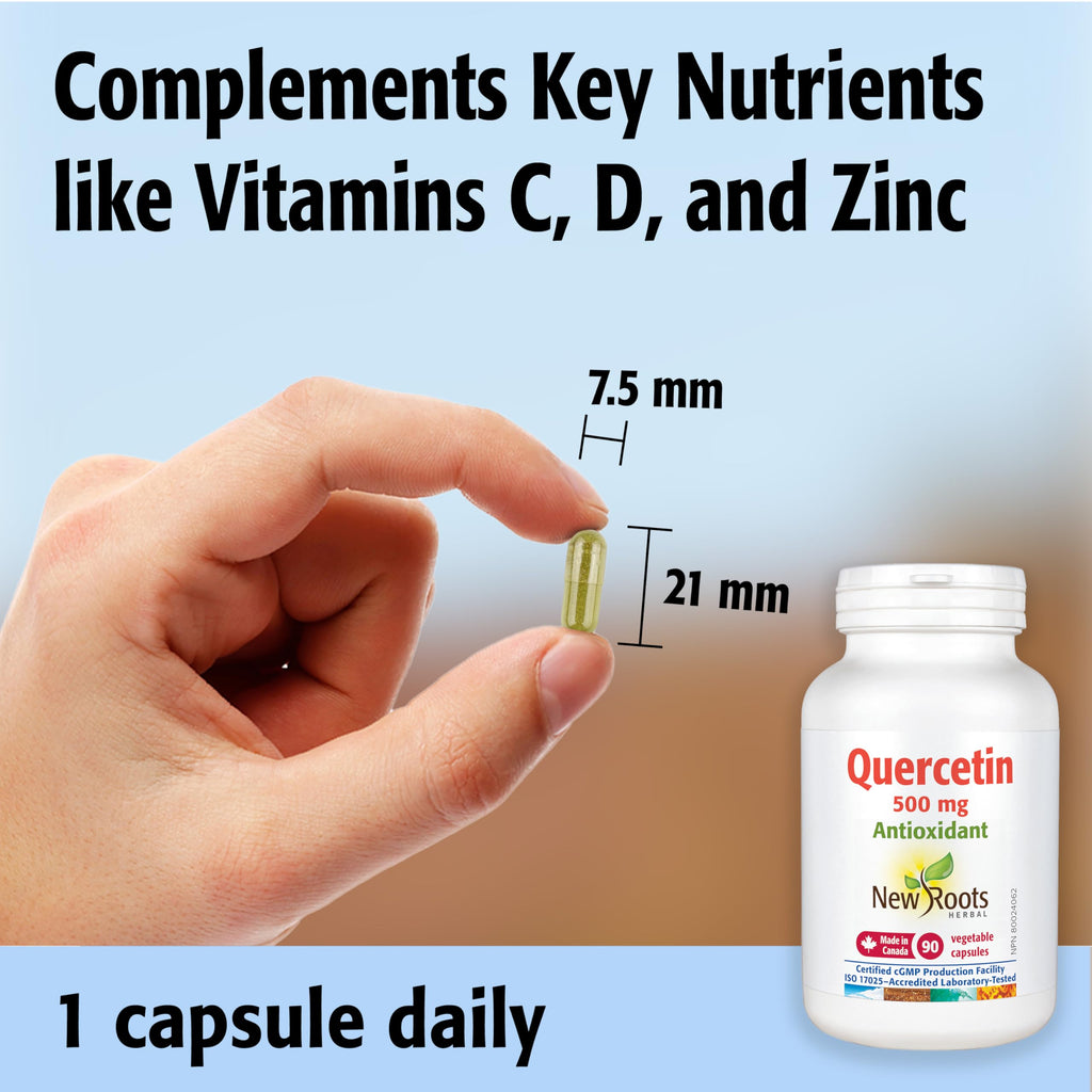 New Roots Herbal - Quercetin Capsules - Plant-Sourced Antioxidant - Maintain Optimal Health, Protects Capillaries, Blood Vessel Support & Circulation - Gluten-Free & Non-GMO