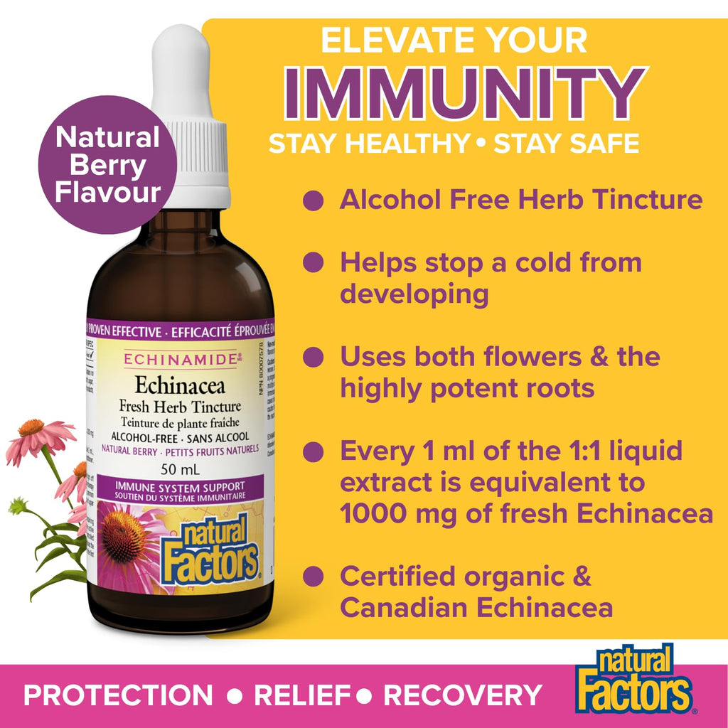 Natural Factors Echinacea Fresh Herb Tincture Alcohol Free 50mL