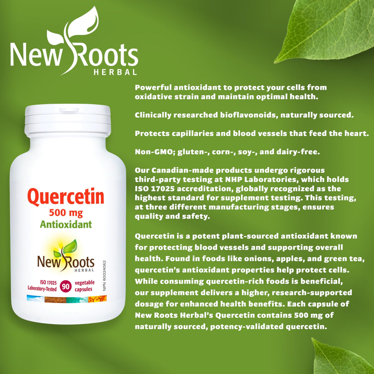 New Roots Herbal - Quercetin Capsules - Plant-Sourced Antioxidant - Maintain Optimal Health, Protects Capillaries, Blood Vessel Support & Circulation - Gluten-Free & Non-GMO