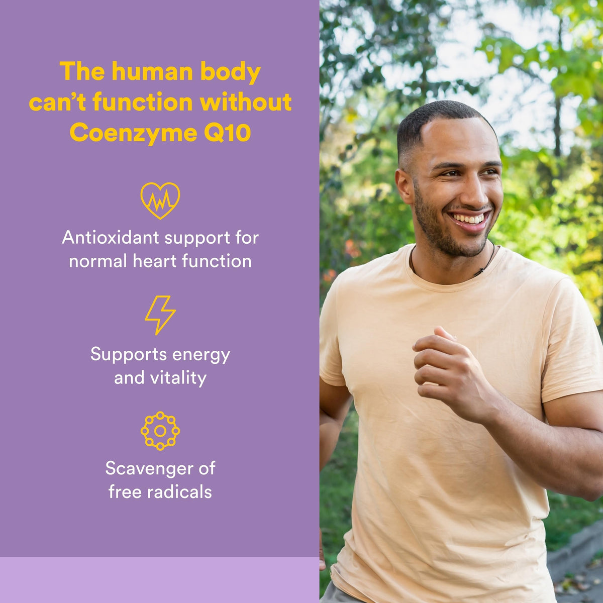Natural Factors CoQ10 100 mg, 120 Softgels, 100% Natural, Supports Cardiovascular Health, Proudly Canadian