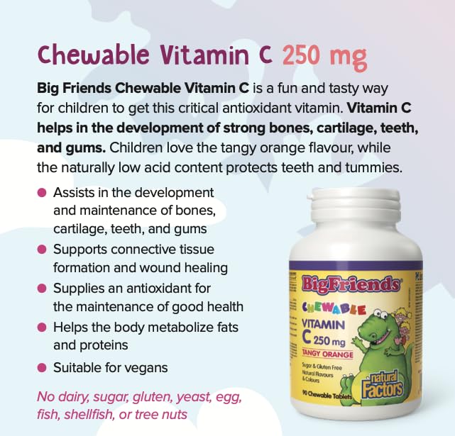 Natural Factors Big Friends Kids Vitamin C 250 mg 90 Chews Tangy Orange